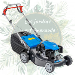Acheter tondeuse en ligne - Livraison gratuite - GEODIS - livraison rapide - pas cher - bon prix - STAUB