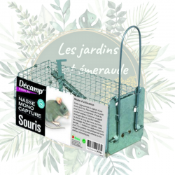 achat en ligne pas cher nasse à souris pour capturer des rongeurs. Répulsif souris naturel. Envoi rapide.