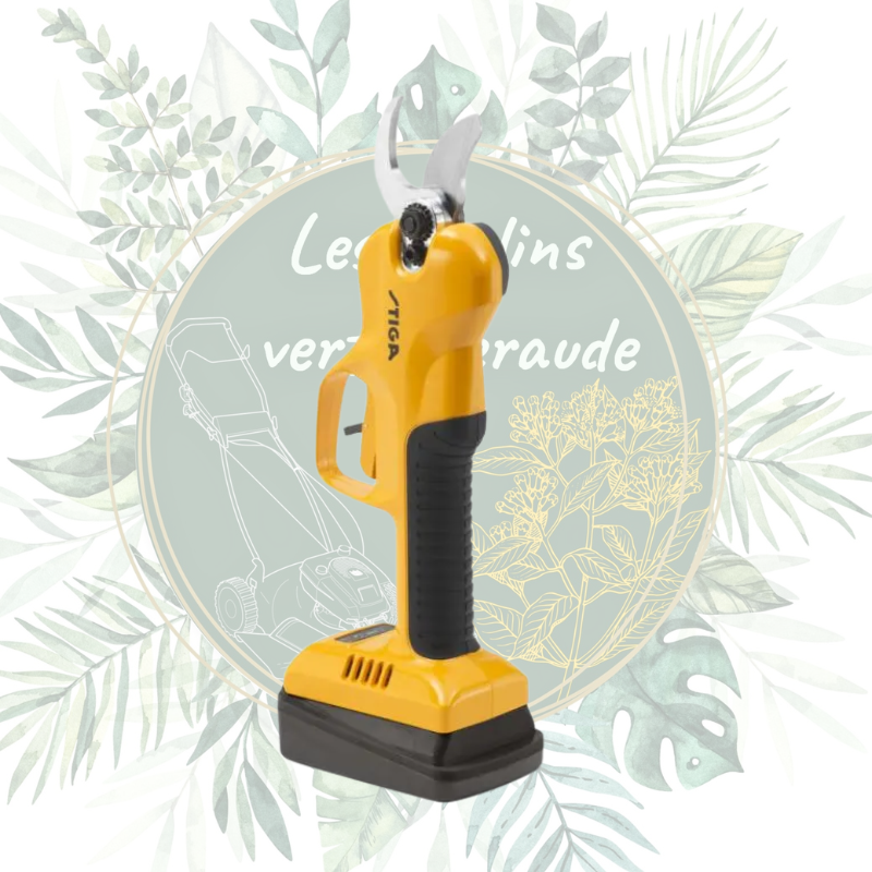 Achat en ligne sécateur à batterie au meilleur prix avec mallette de transport. Coupe facile des arbres, sans fatigue