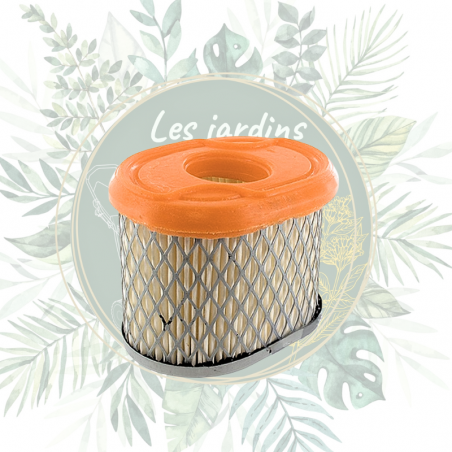 Filtre à air d'origine pour motur briggs et stratton pas cher. Pièces moteur au meilleur prix. Pièce adaptable ou d'origine.