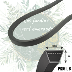 Courroie B55 compatible avec de nombreux autoportées du marché. Meilleur prix garanti. Courroie Kevlar résistante pas chère