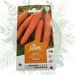 achat en ligne graines pas cher, carottes, semence pour potager, livraison rapide en France