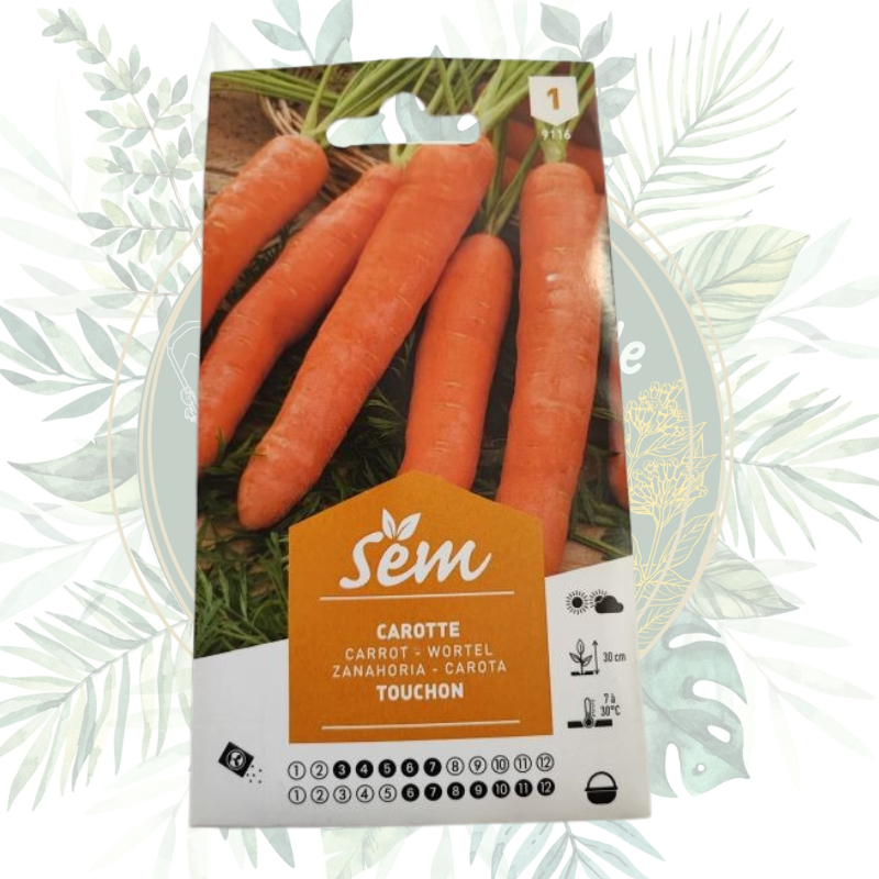 achat en ligne graines pas cher, carottes, semence pour potager, livraison rapide en France