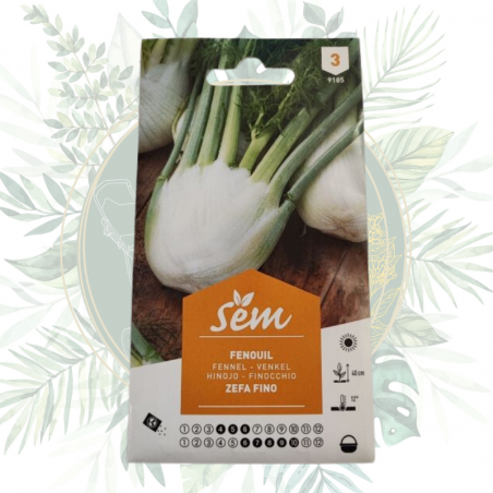 Graines de fenouil pour le potager, achat de graines en ligne pas cher, légume facile à cultiver