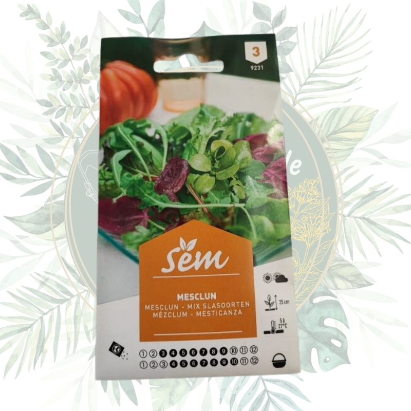 Mesclun
