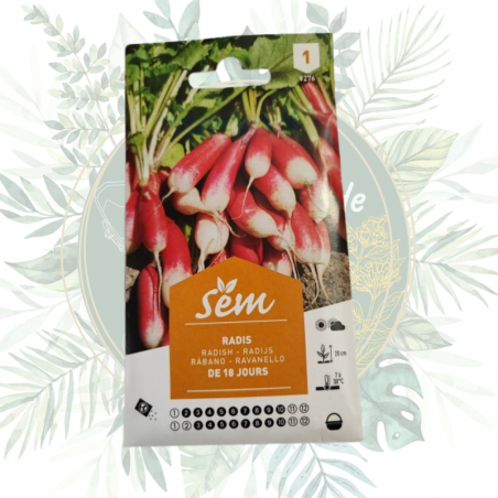 graines de radis. croissance rapide, facile à cultiver, livraison rapide, graines de qualité pas cher.